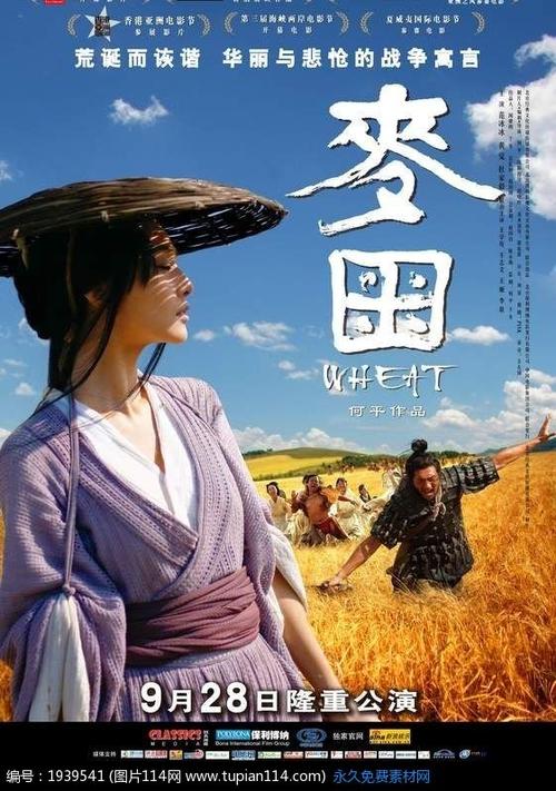 曼彻斯特商学院电子工程学位证书
